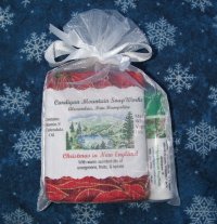 Home for the Holidays 1.75oz Soap with Wintergreen Lip Balm