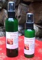New England Holiday Aromatherapy Mist 4 oz.