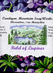 Field of Lupines 3.5 oz. 